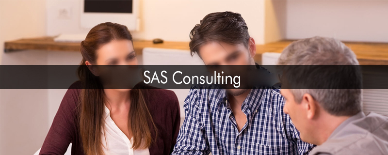 SAS Consulting 